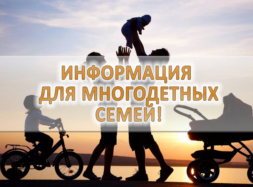 Компенсация 50% стоимости обучения одного из детей многодетной семьи.