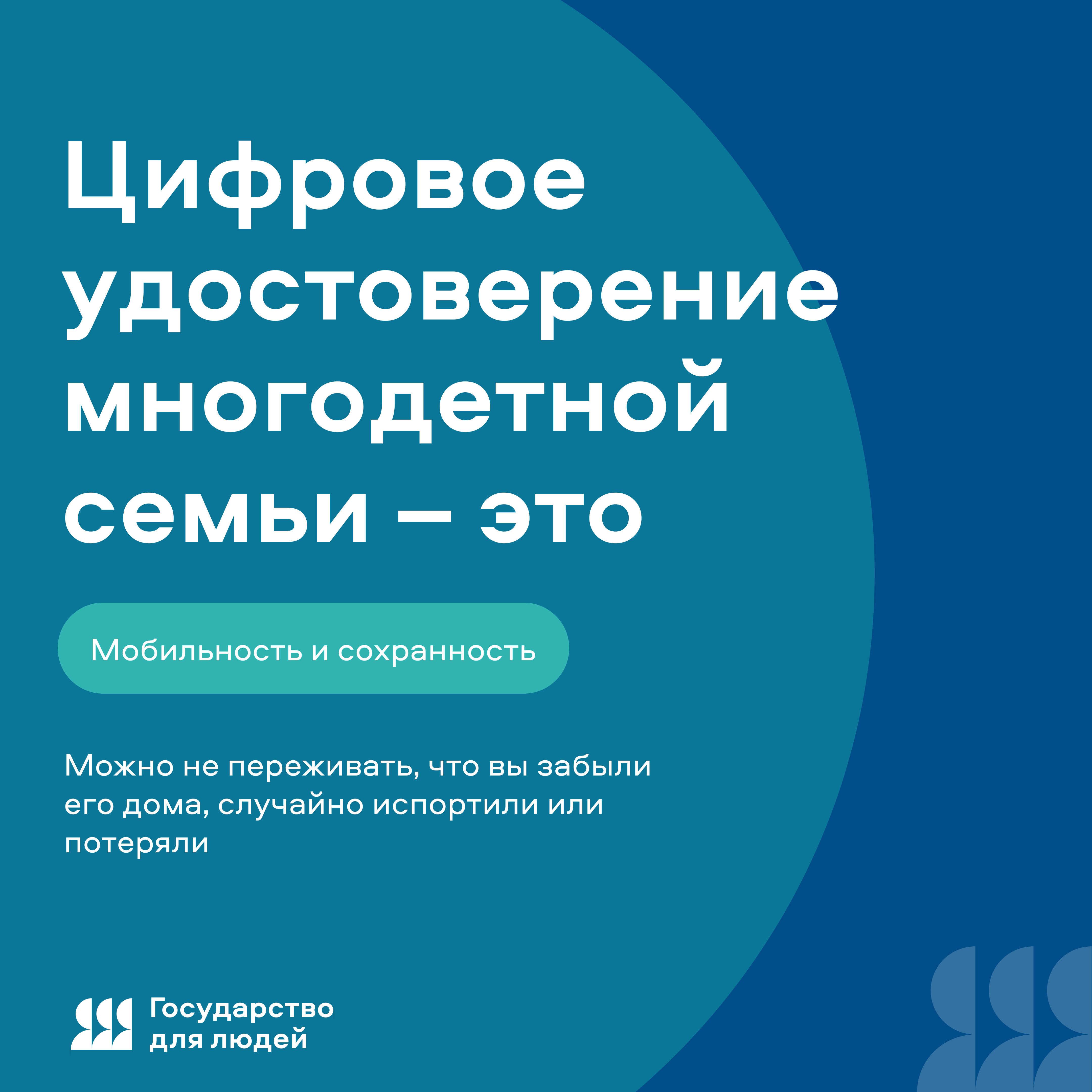 Началась реализация федерального проекта «Государство для людей» в части внедрения цифрового удостоверения многодетной семьи.