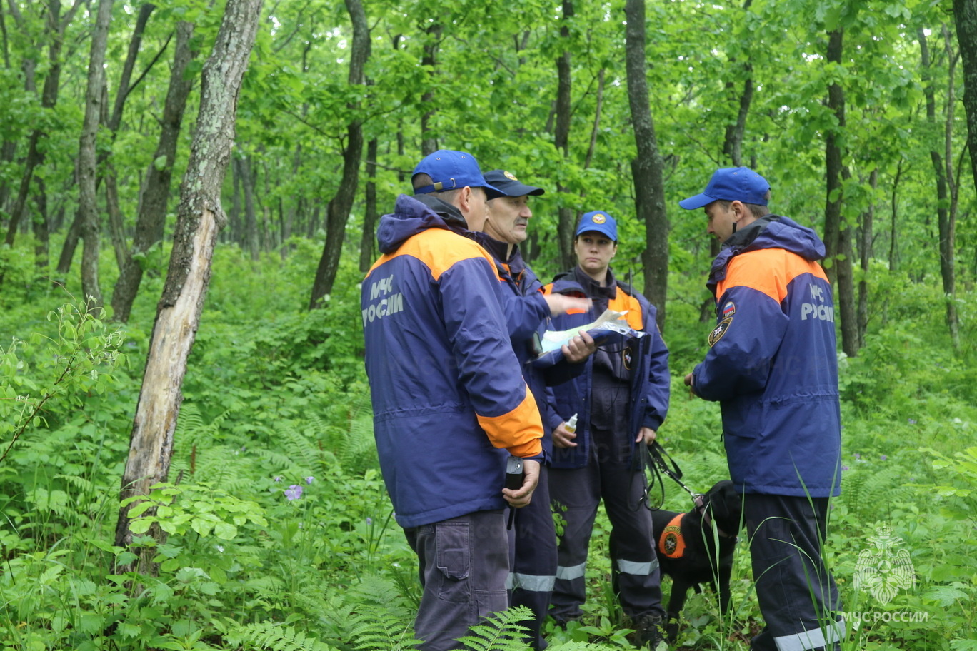 Памятка о порядке информирования территориальных органов МЧС России о планируемых туристических мероприятиях.