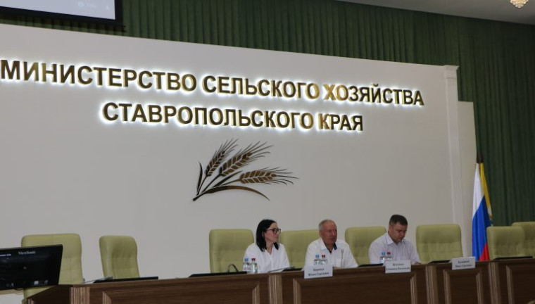 Участие в семинаре «Контрактная система 2022: ключевые изменения и антикризисные меры». Участие в семинаре «Контрактная система 2022: ключевые изменения и антикризисные меры».