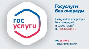 Преимущества получения госуслуг в электронной форме. Преимущества получения госуслуг в электронной форме.